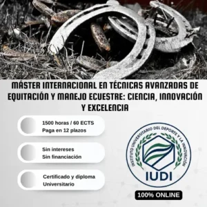 Máster Técnicas Avanzadas Equitación