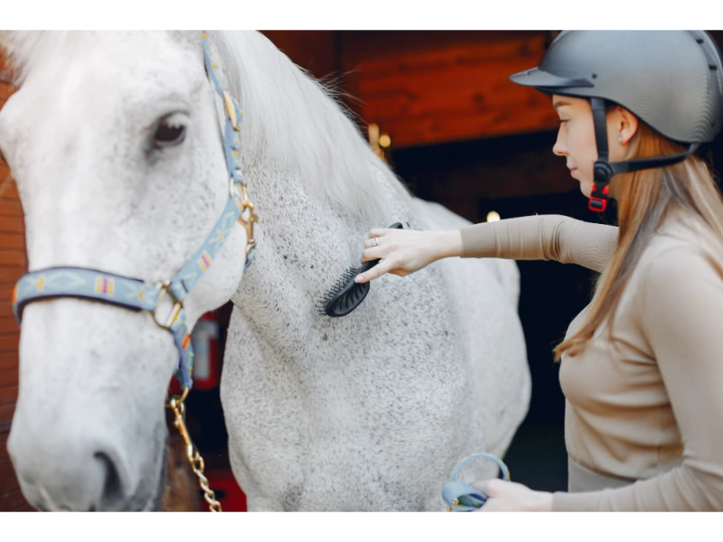 equinoterapia-y-salud-mental