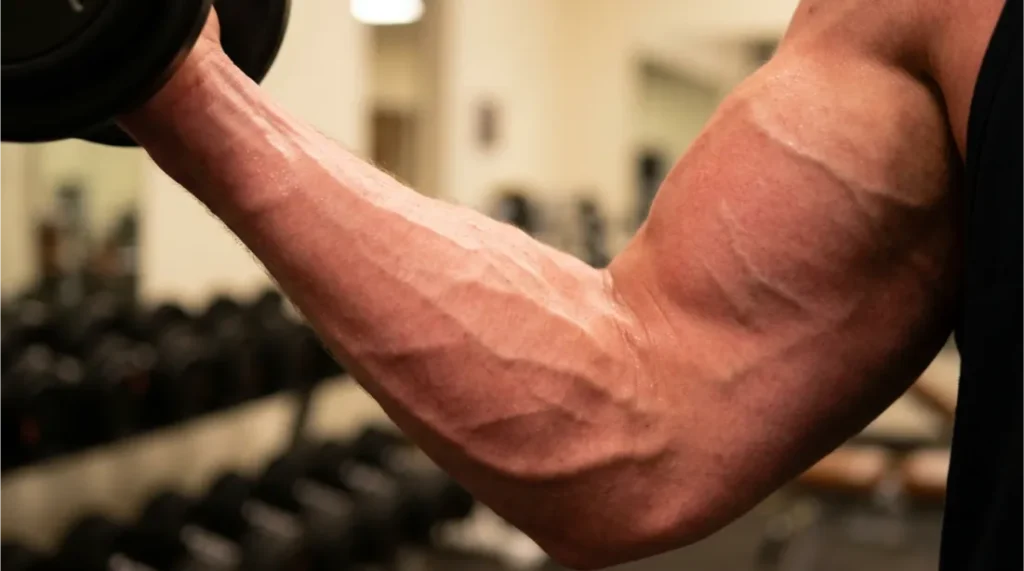 vascularidad-brazo