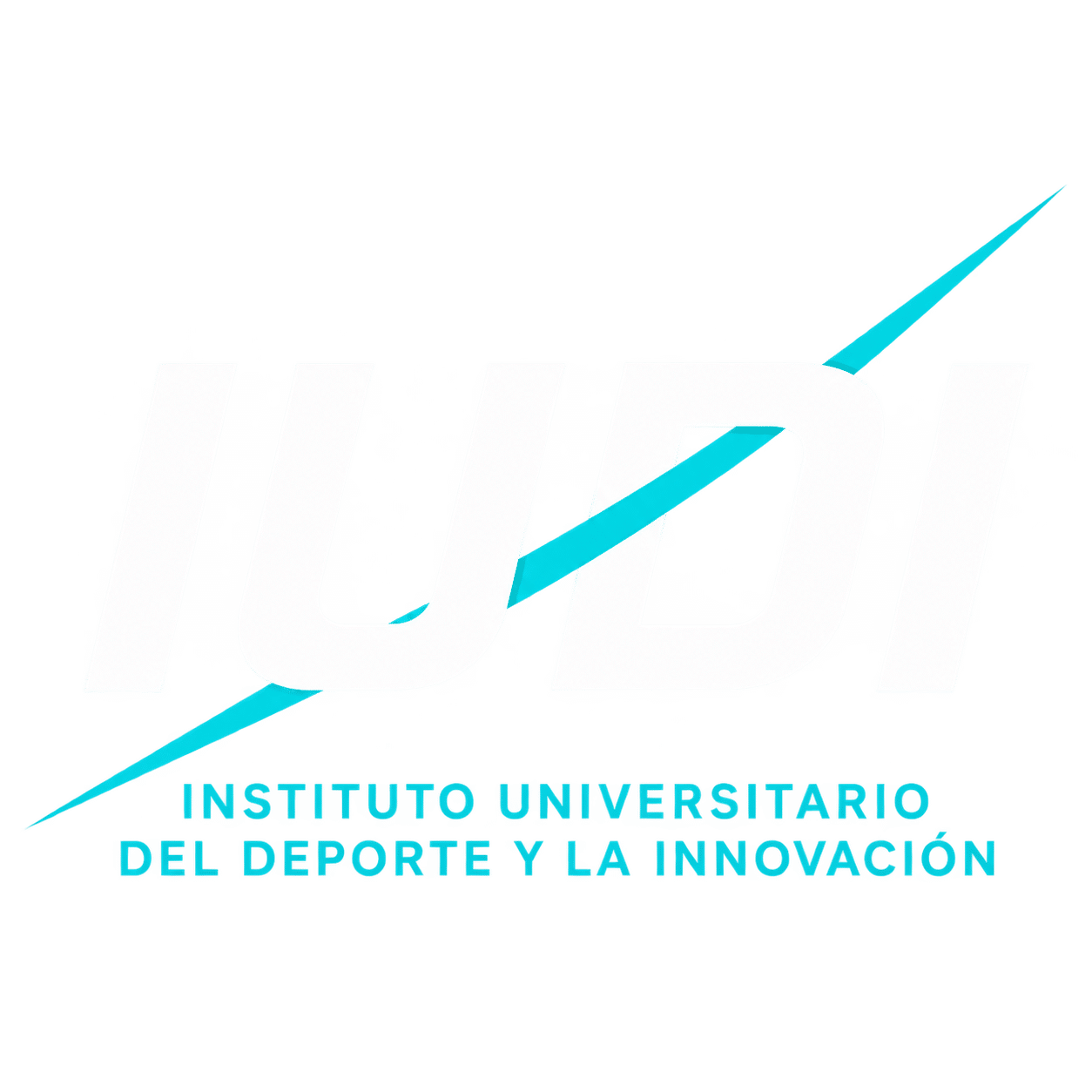 Logo Instituto IUDI