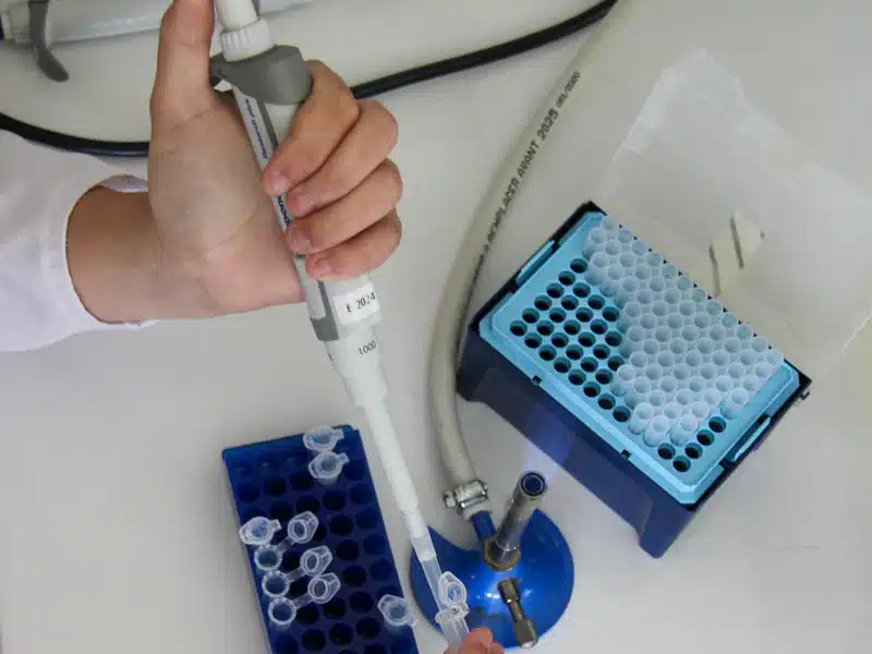 Técnico de laboratorio utiliza una micropipeta para analizar muestras biológicas